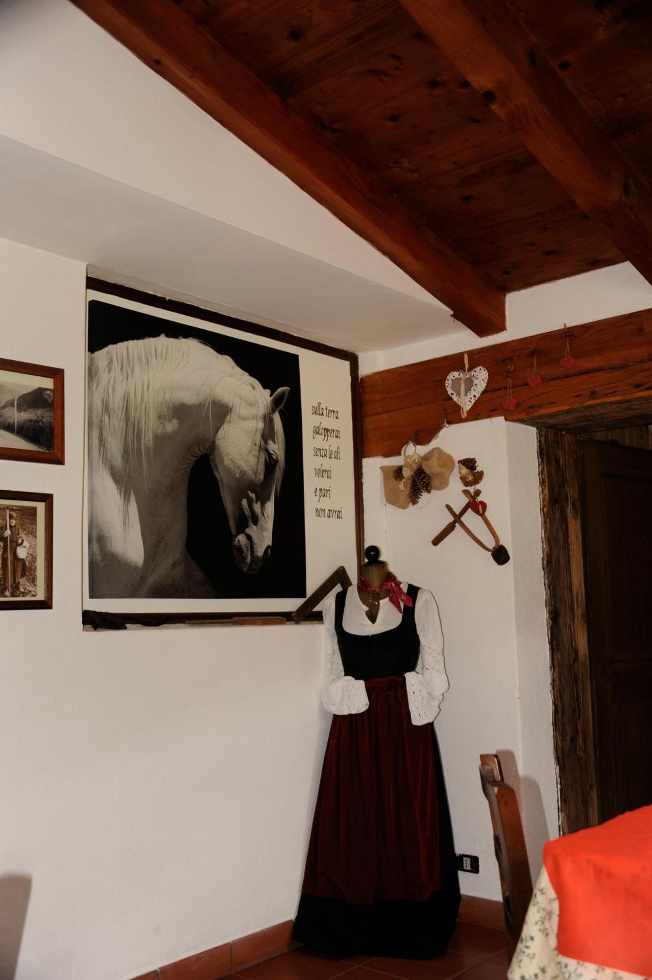 Agriturismo Randis Piano dʼArta 外观 照片