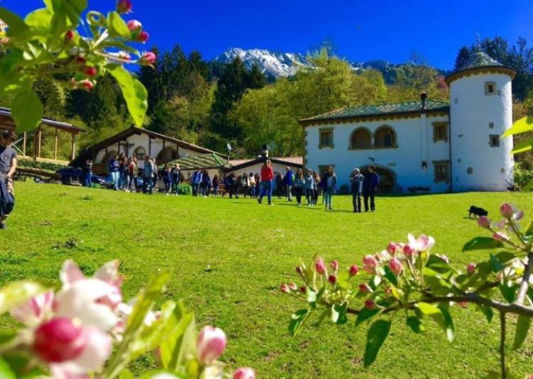 Agriturismo Randis Piano dʼArta 外观 照片