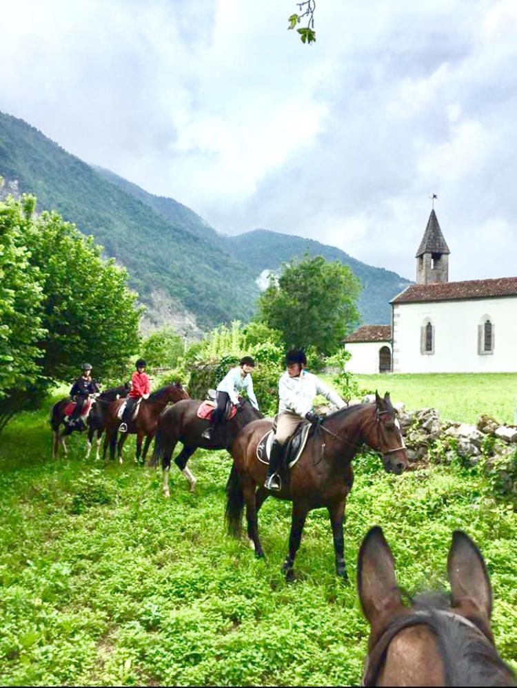 Agriturismo Randis Piano dʼArta 外观 照片