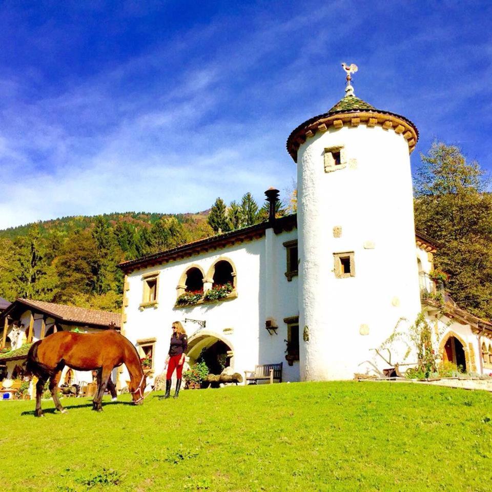 Agriturismo Randis Piano dʼArta 外观 照片